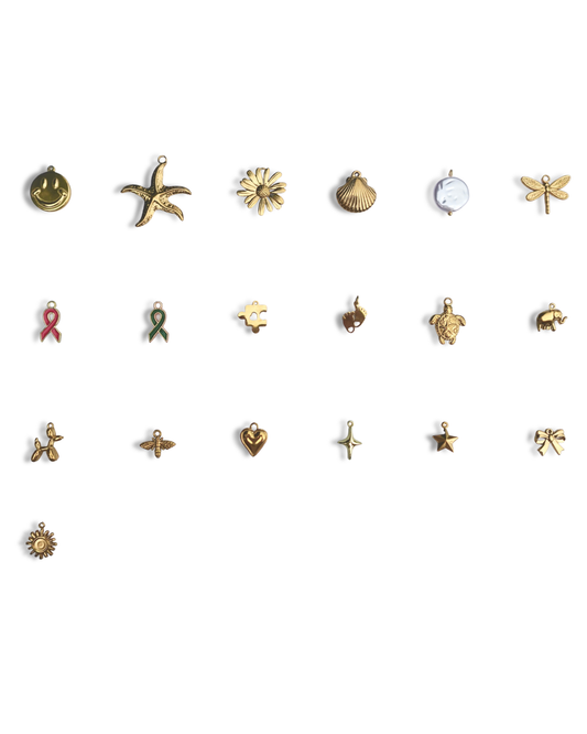 American Heart Association Charm