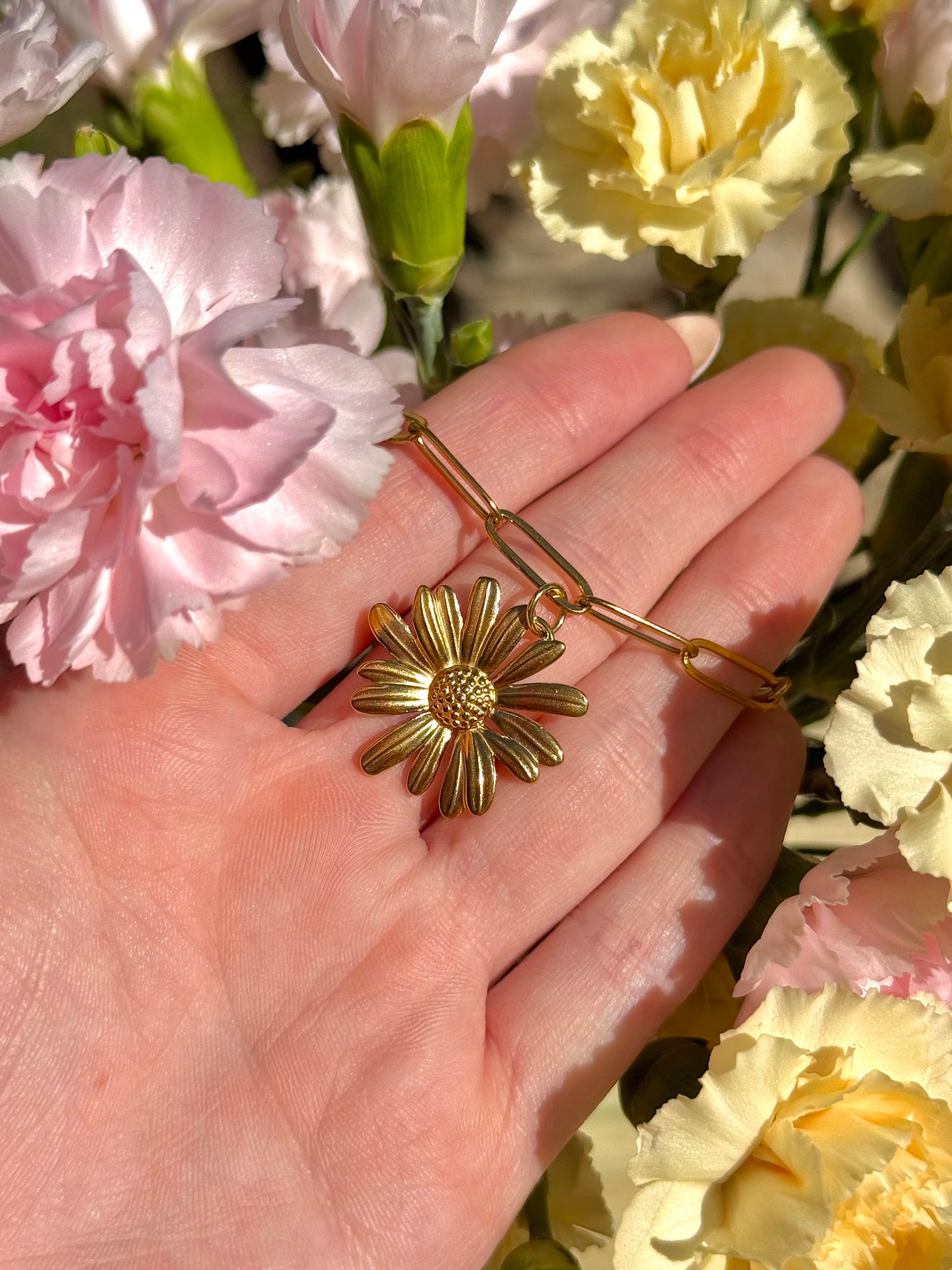 Natural Resource Defense Council Charm