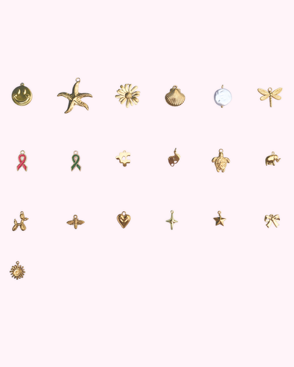 National Alliance on Mental Illness Charm
