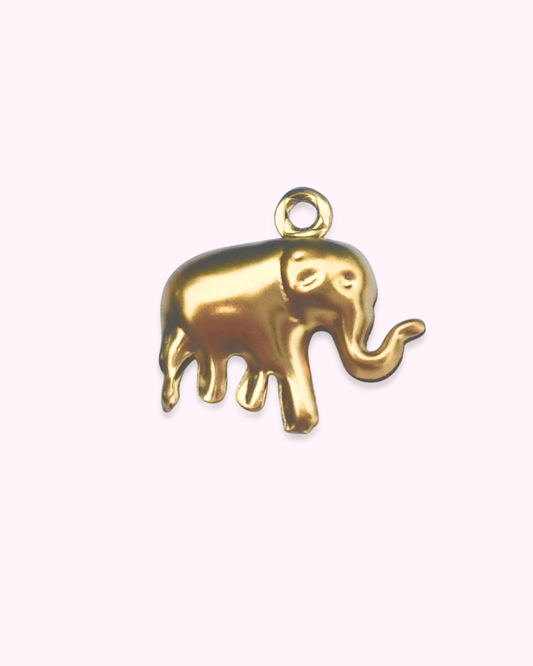 International Elephant Foundation Charm