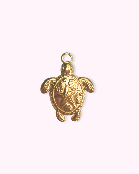 Sea Turtle Conservancy Charm