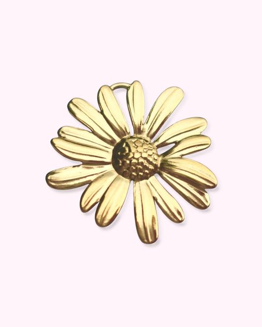 Natural Resource Defense Council Charm