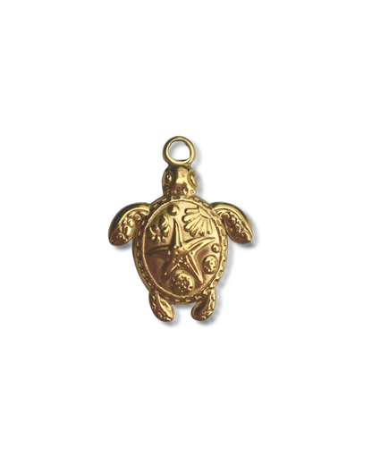 Sea Turtle Conservancy Charm