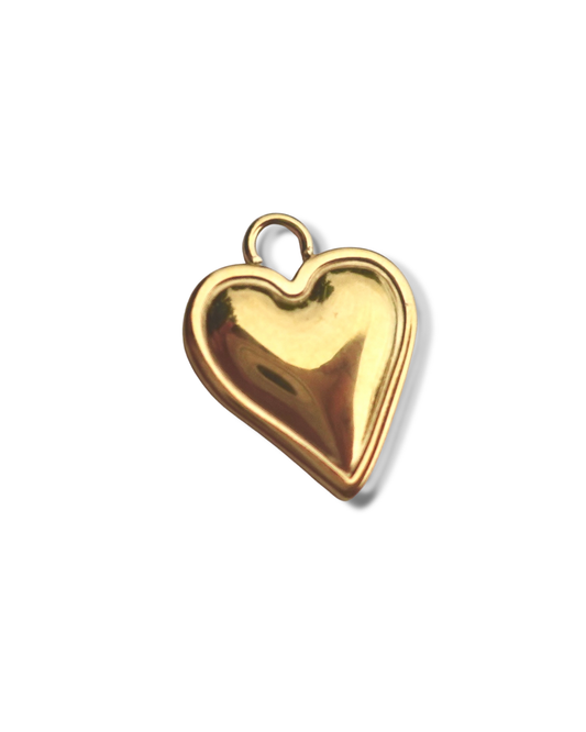 American Heart Association Charm