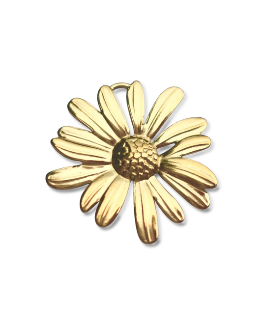 Natural Resource Defense Council Charm