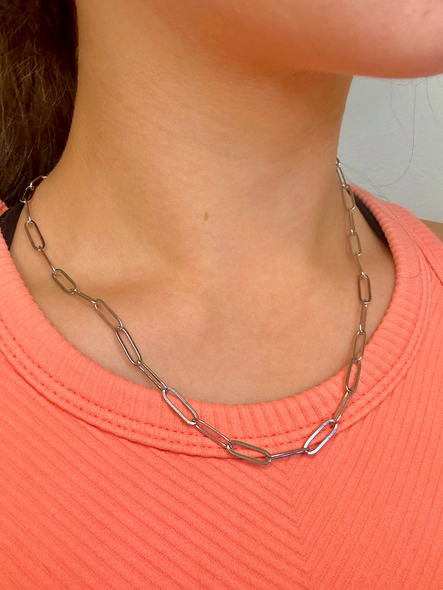 Paperclip Necklace