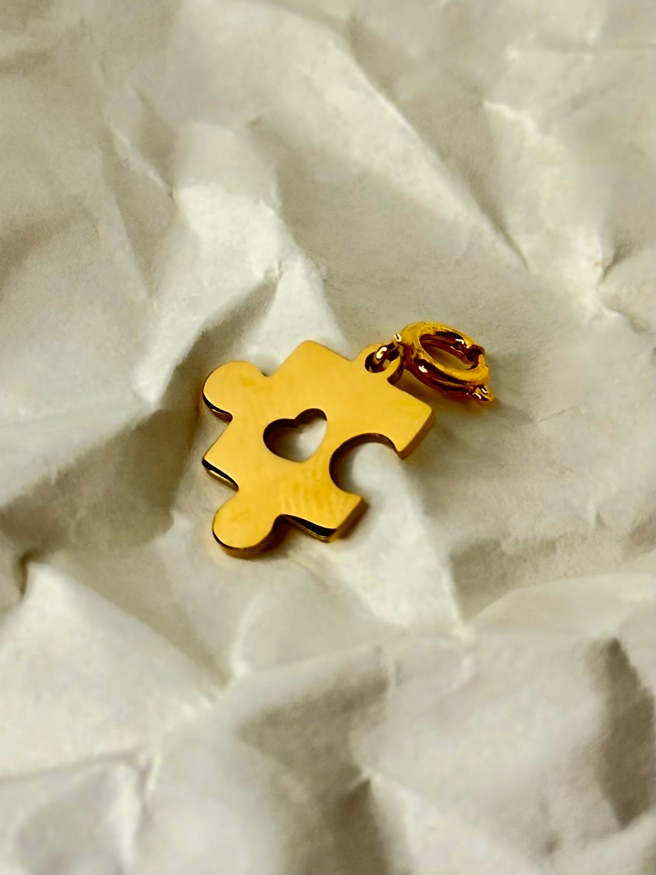 Autism Speaks Charms