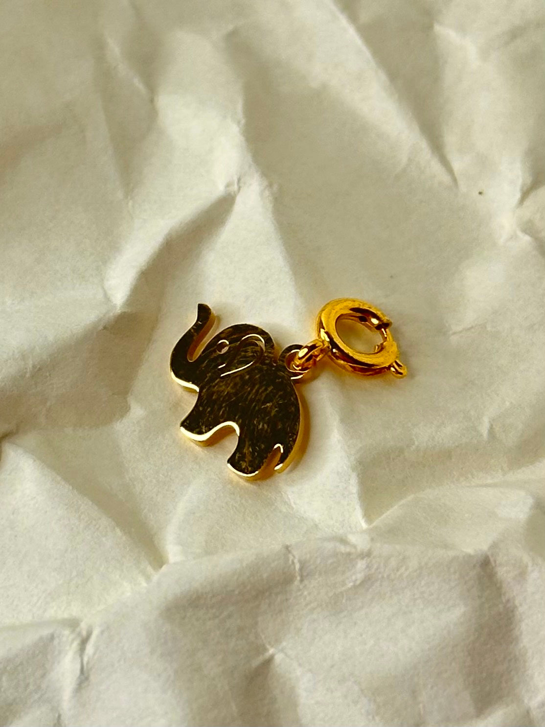 International Elephant Foundation Charm