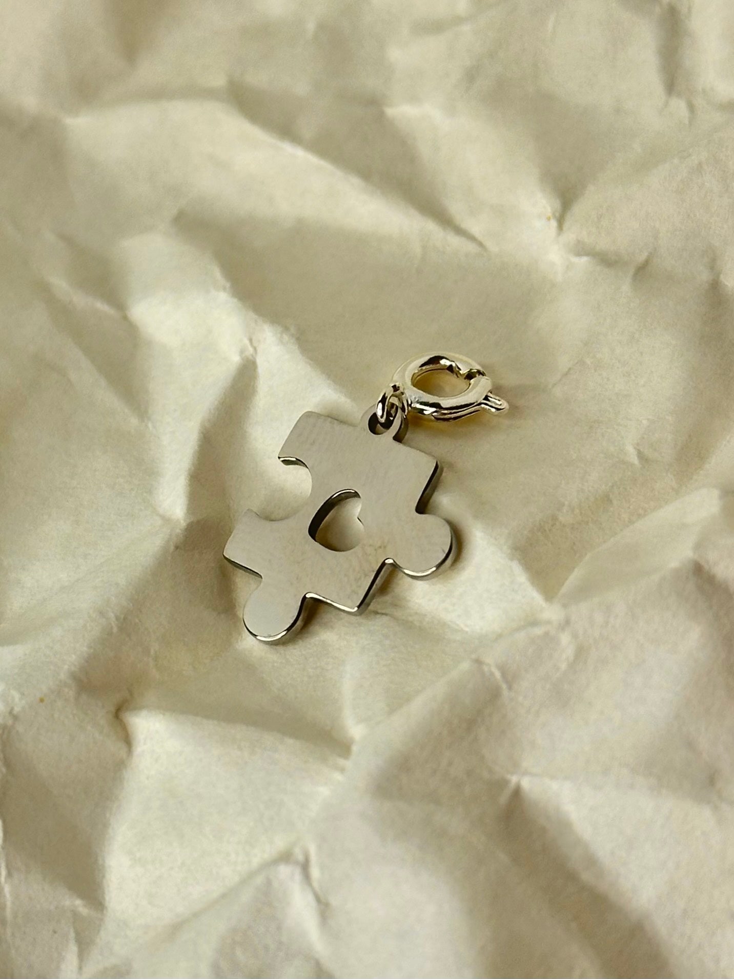 Autism Speaks Charms