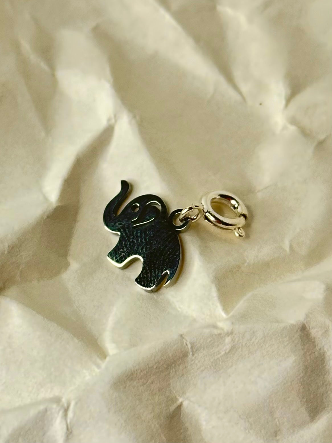 International Elephant Foundation Charm