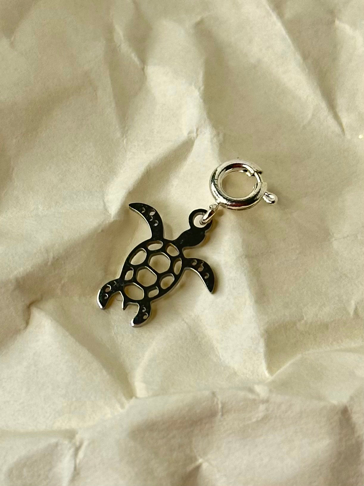 The Sea Turtle Conservancy Charm